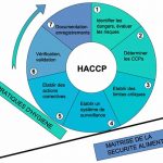 Le système HACCP simplifié