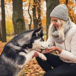 Tout savoir sur l'éducation positive du chien