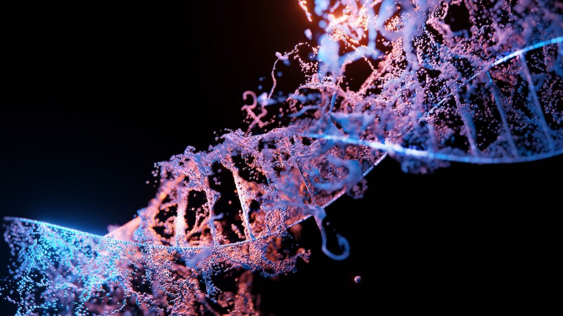 Le marché des tests ADN