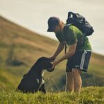 convivialité entre chiens et personnes âgées