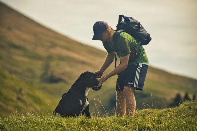 convivialité entre chiens et personnes âgées