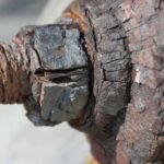 Boulon rouillé et fissuré, fixé sur planche de bois, texture détériorée